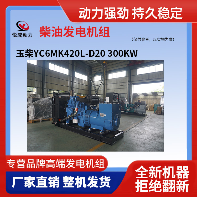 玉柴YC6MK420L-D20 300KW 6.jpg