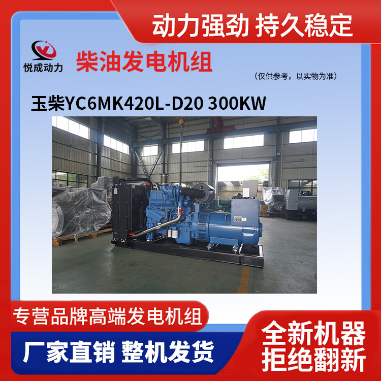 玉柴YC6MK420L-D20 300KW 7.jpg